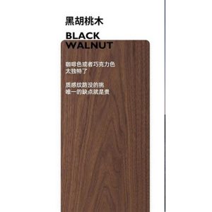Royaltern888全實木書桌